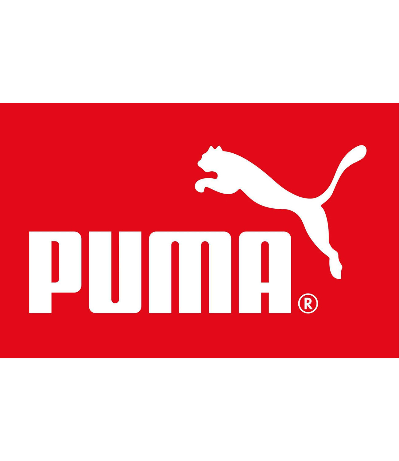 PUMA Girls 4-6X Logo Colorblock Legging