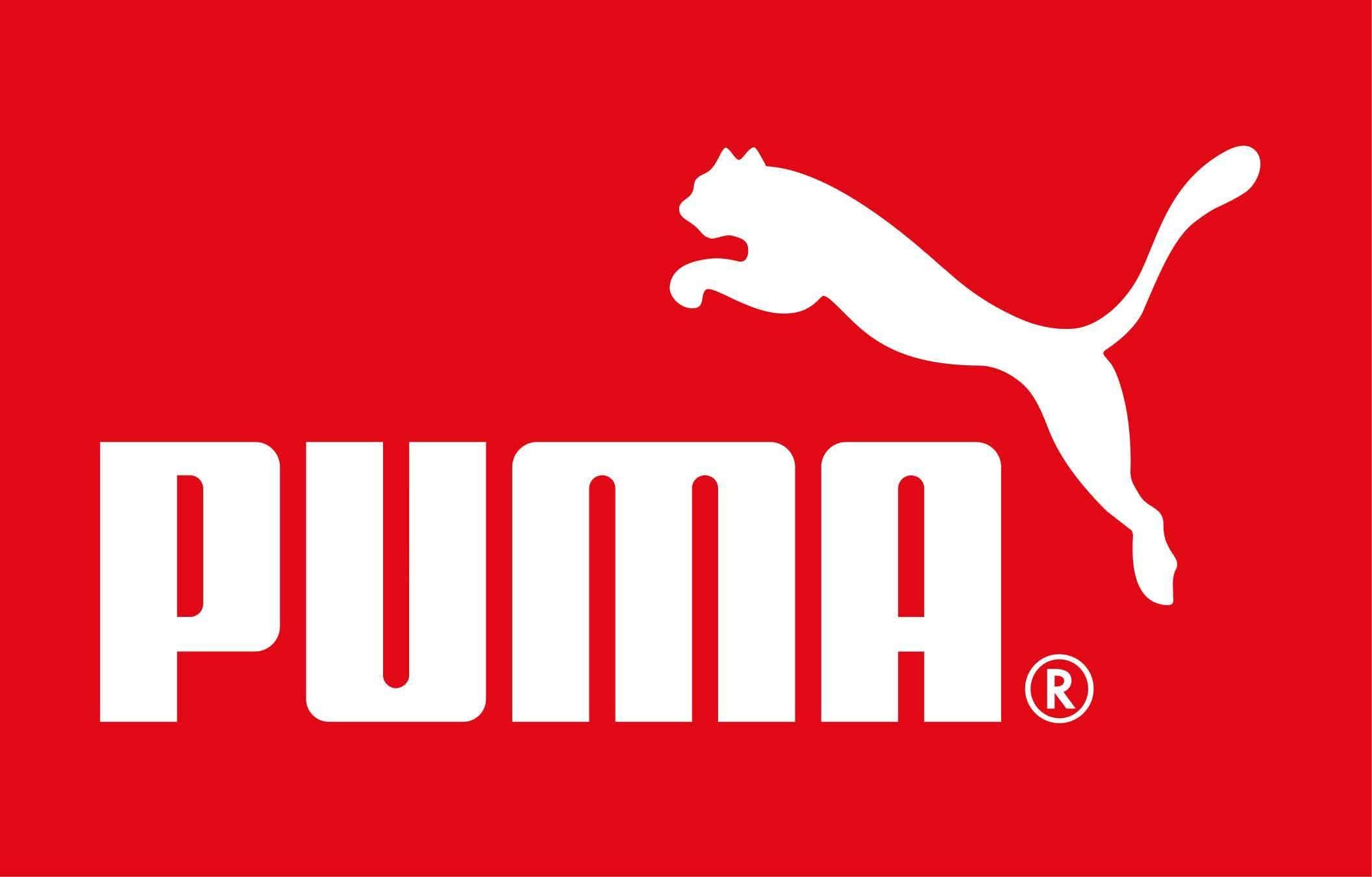 PUMA Boys 8-20 Alpha Raglan T-Shirt