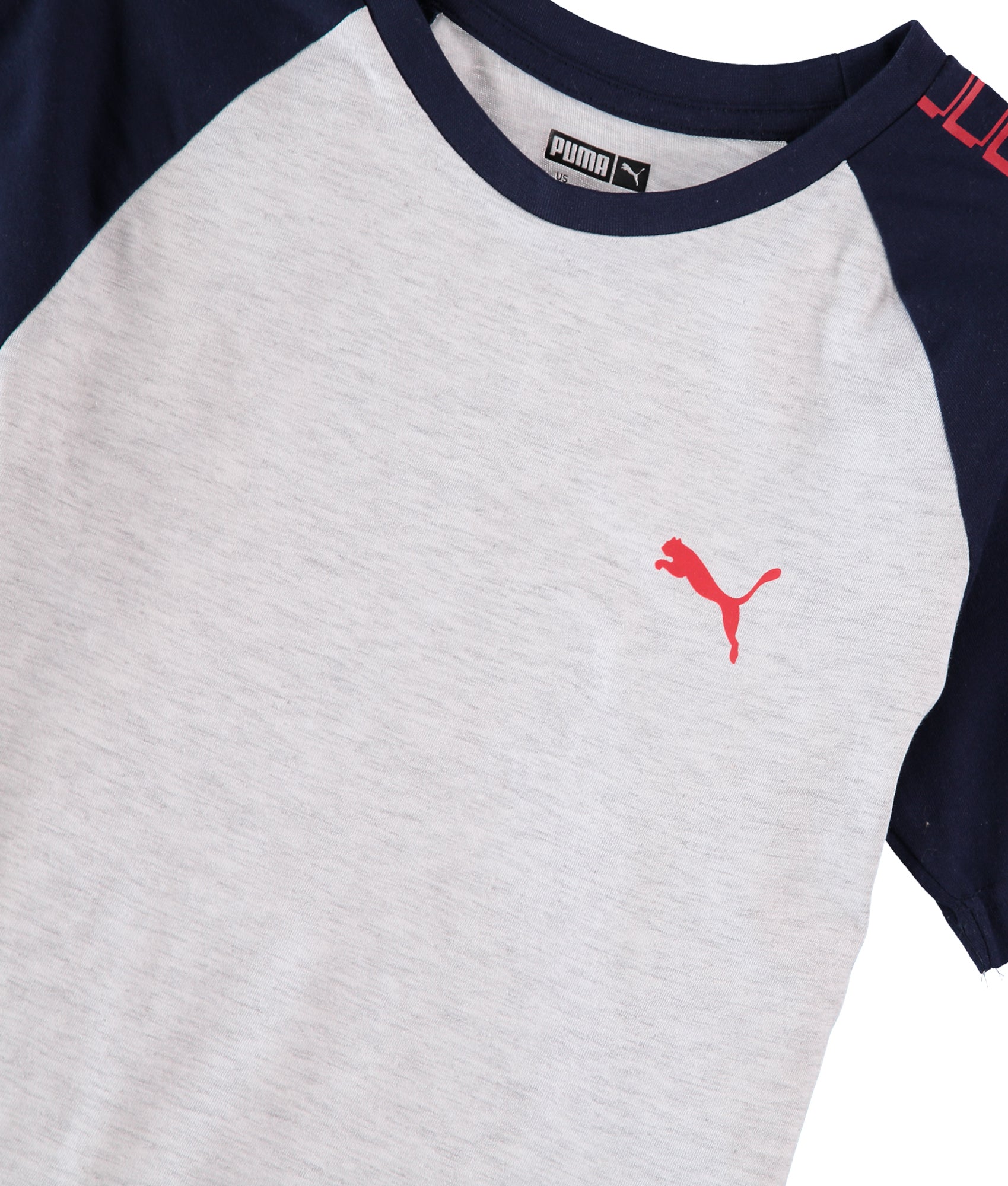 PUMA Boys 8-20 Alpha Raglan T-Shirt