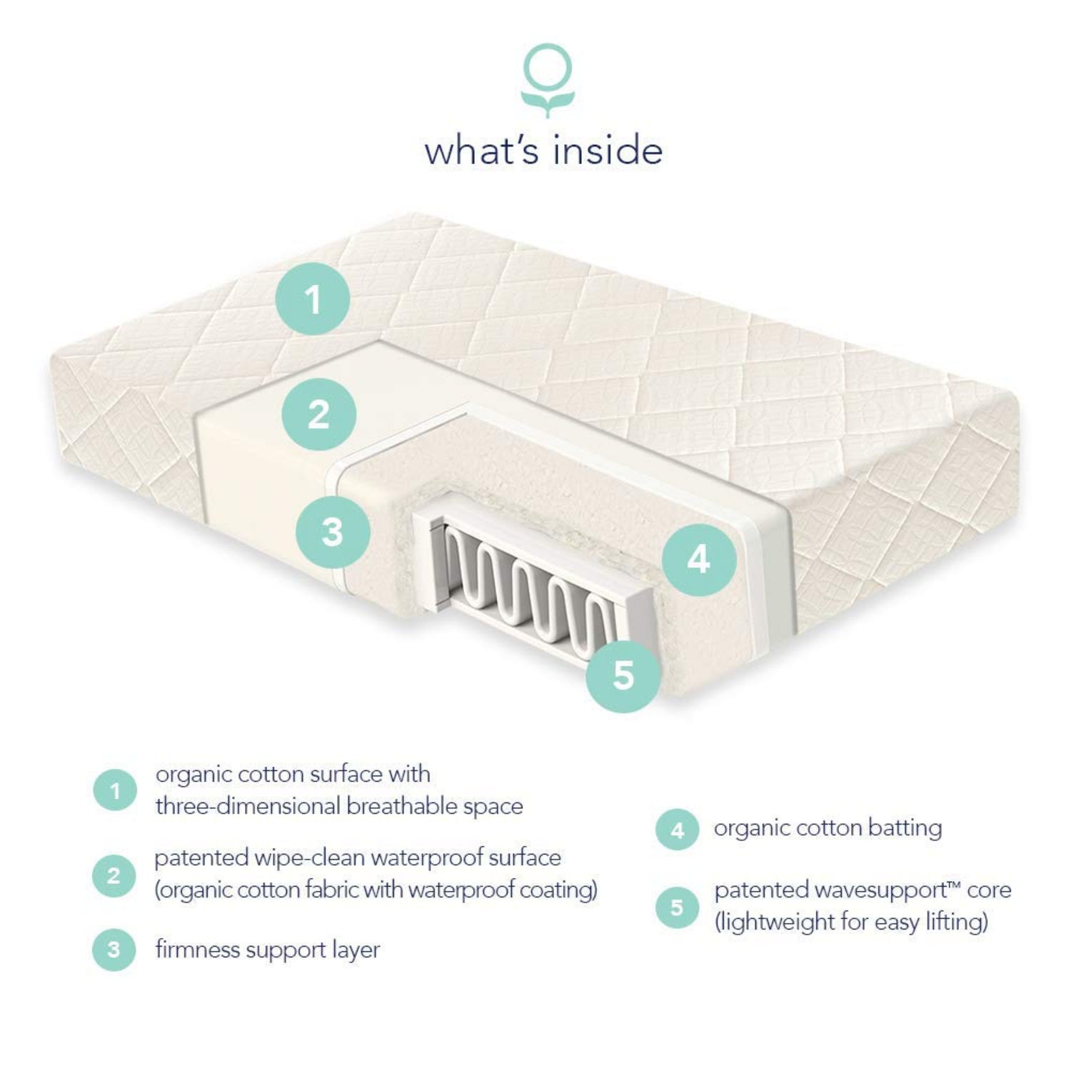 Naturepedic Organic Crib Mattress, 2-Stage Natural Mattress with Breathable Crib Mattress Pad, Water