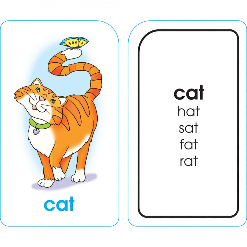 School Zone Word Families Flash Cards