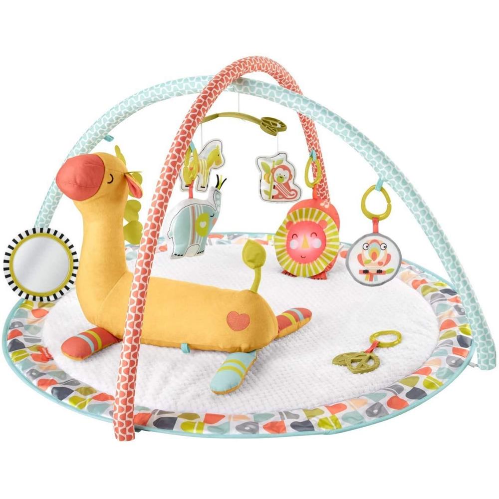 Fisher-Price Go Wild Gym & Giraffe Wedge