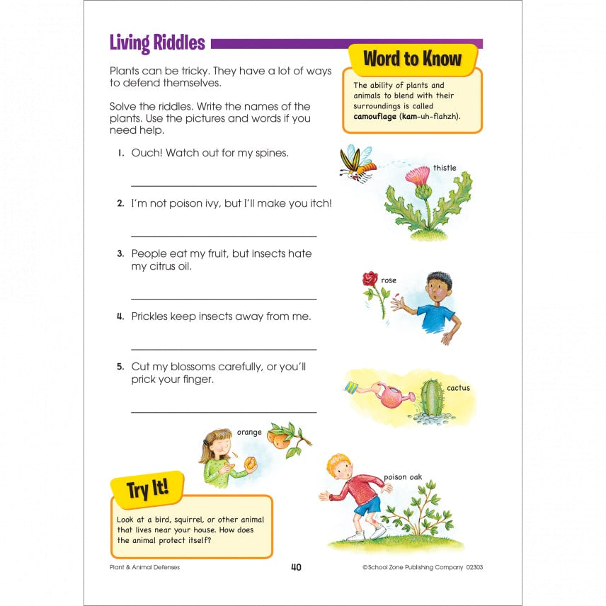 School Zone Second Grade Scholar Workbook