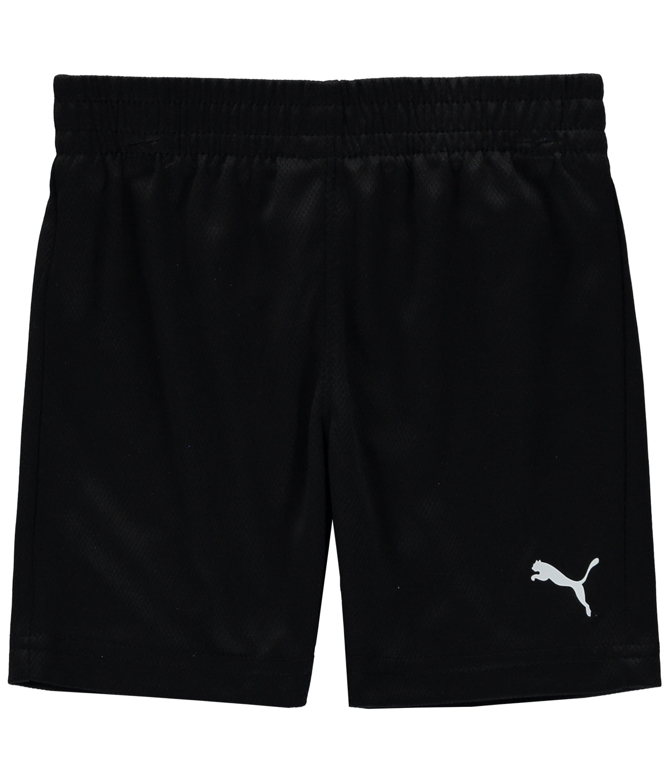 PUMA Boys 2T-4T T-Shirt Short Set