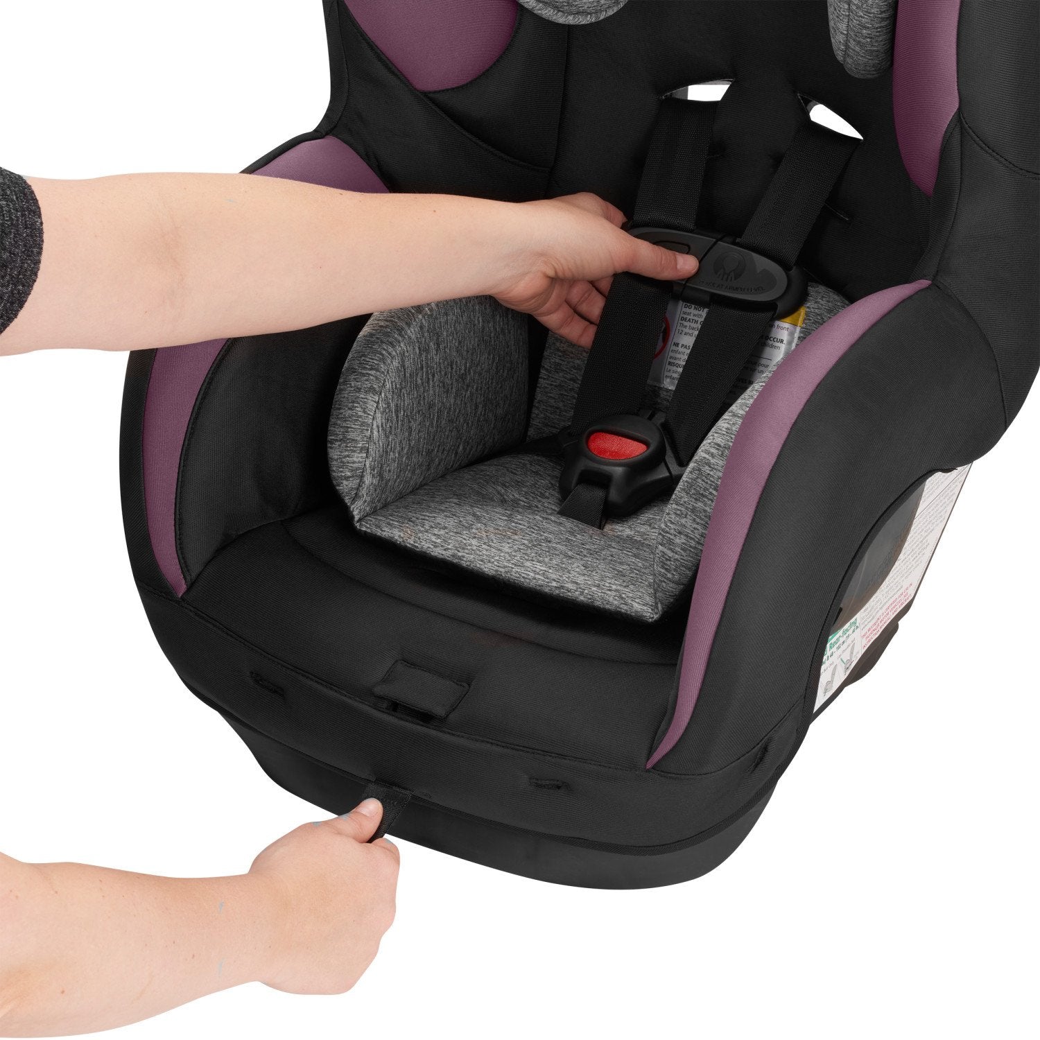 Evenflo SureRide DLX Convertible Car Seat, Harper