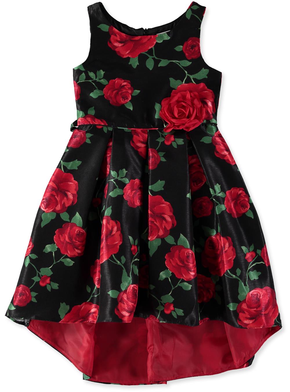 Youngland Girls 4-6X Rose Pleated Hi Low Dress