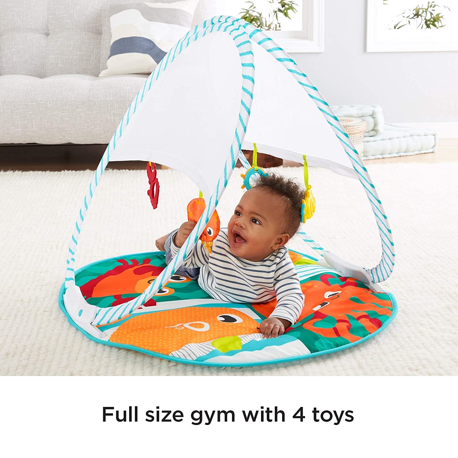 Fisher-Price Fold & Go Portable Gym