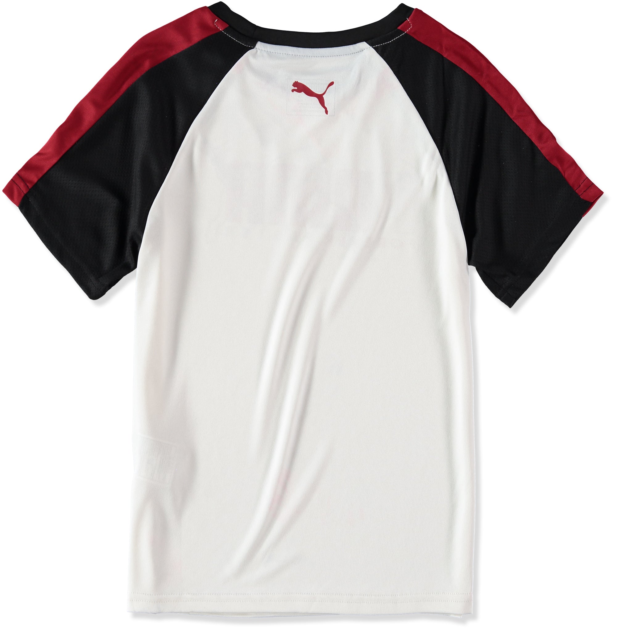 PUMA Boys 8-20 Alpha Raglan T-Shirt