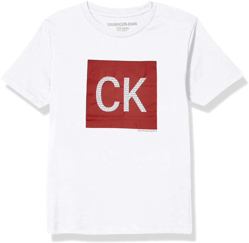 Calvin Klein Boys 8-20 Box Logo T-Shirt