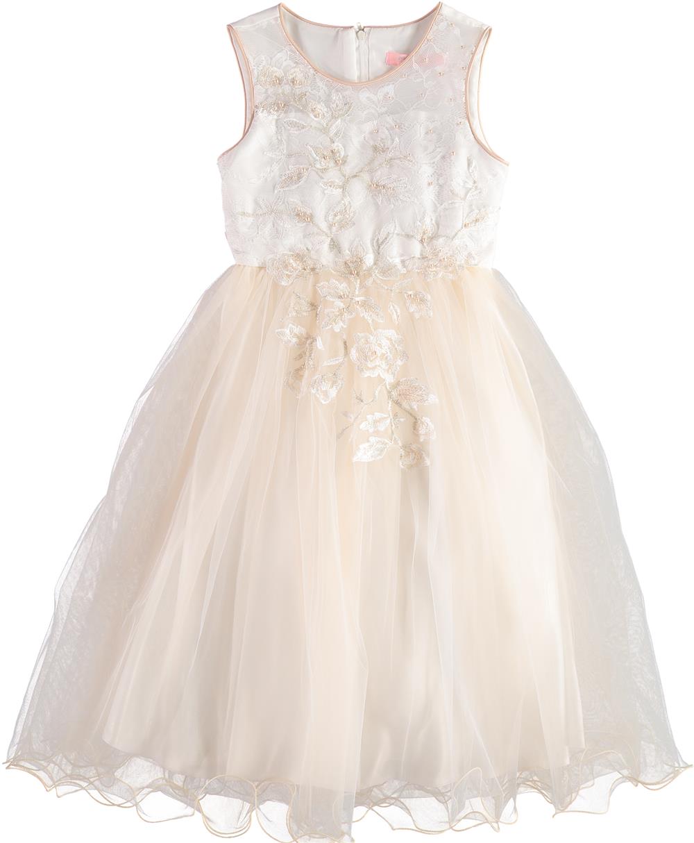 Pink Butterfly Girls Lace Floral Tulle Dress