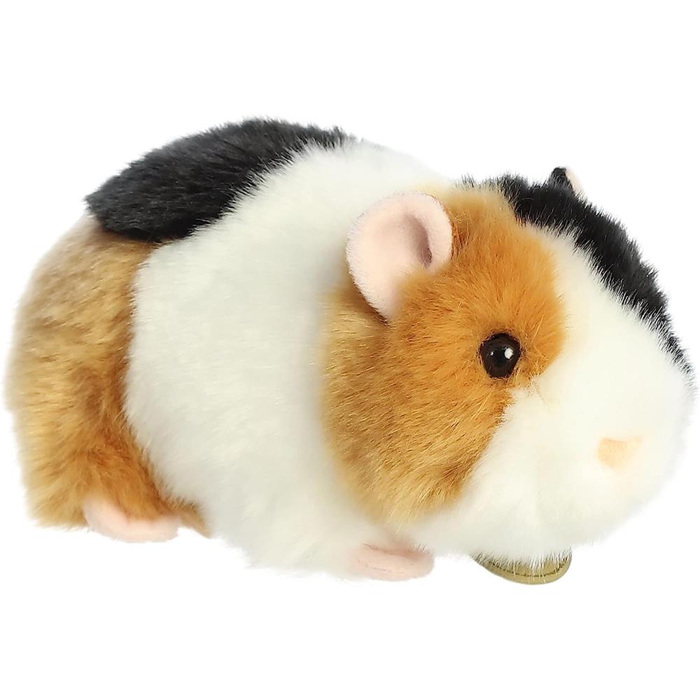 Aurora Miyoni - 7.5'' American Guinea Pig