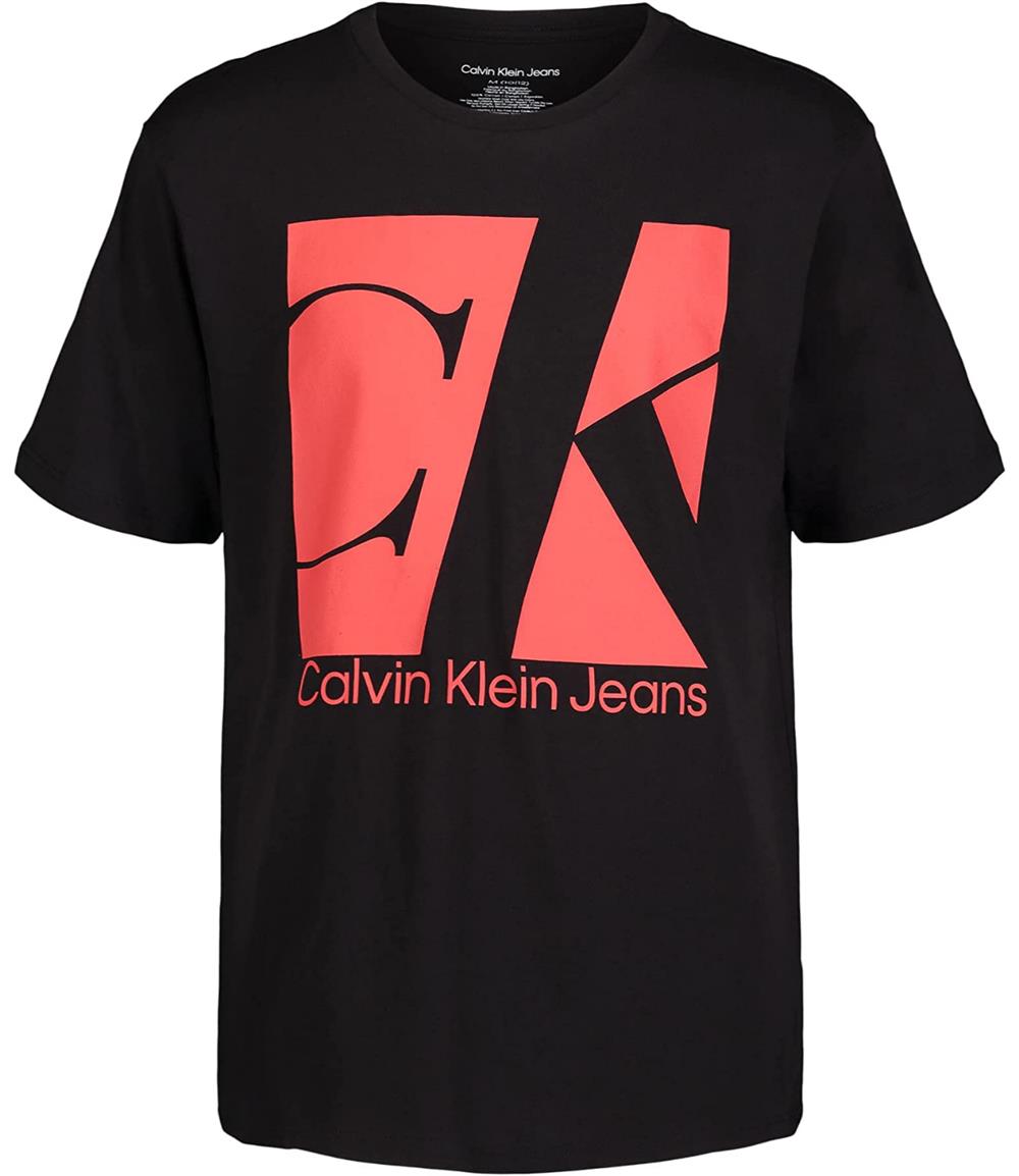 Calvin Klein Boys 8-20 Short Sleeve Box Logo T-Shirt