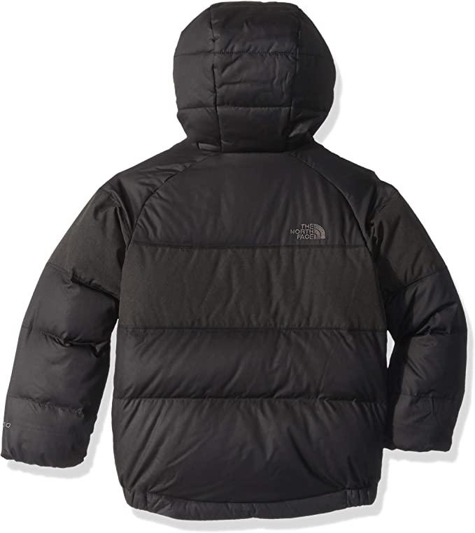 The North Face Moondoggy 2 Down Jacket