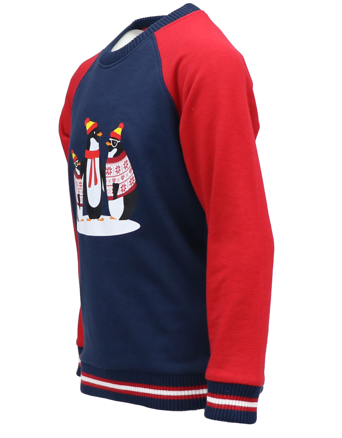 Kimu Boys 2-18 Raglan Sleeve Penguin Family French Terry Sweater Sweatshirt