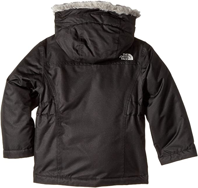 The North Face Greenland Down Parka