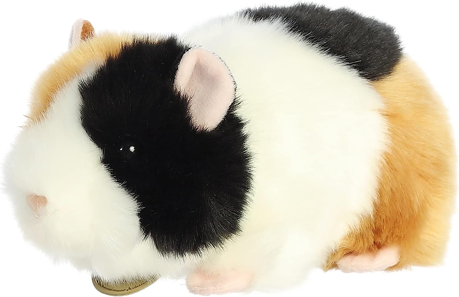 Aurora Miyoni - 7.5'' American Guinea Pig