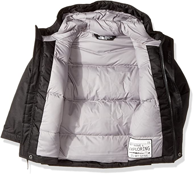 The North Face Greenland Down Parka