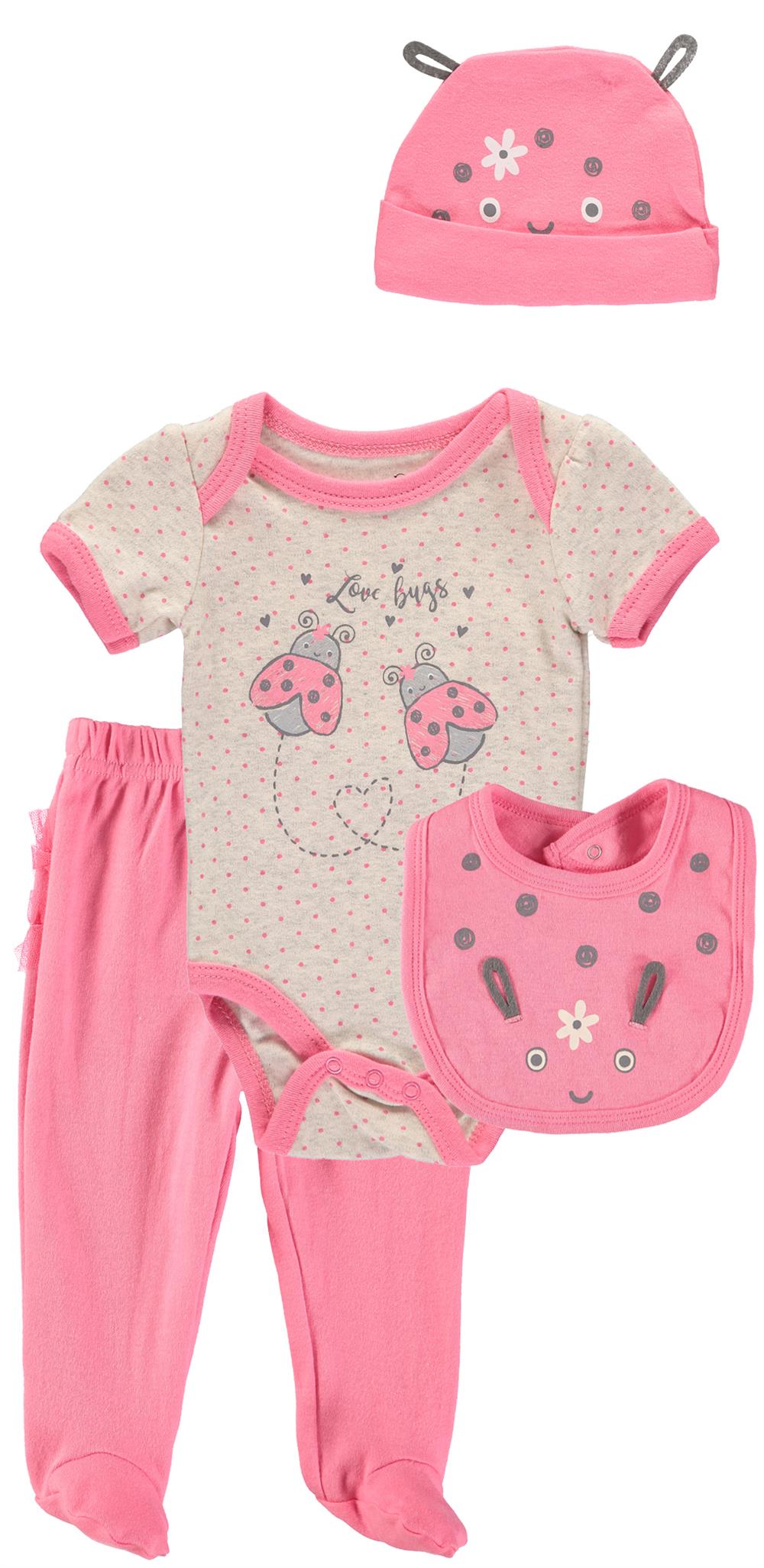 Duck Duck Goose Girls 0-9 Months Ladybug 4-Piece Set